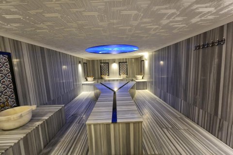 2+1 Lägenhet  i Kestel, Antalya, Turkiet Nr. 99422 - 9