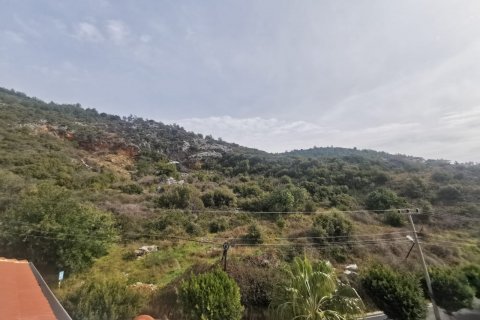 3+1 Penthäuser  in Alanya, Antalya, Türkei Nr. 92111 - 16