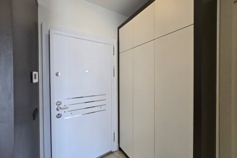 1+1 Wohnung  in Alanya, Antalya, Türkei Nr. 223404 - 9
