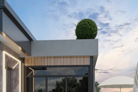 2+1 Penthouse i Alanya, Antalya, Tyrkiet Nr. 140589 - 25