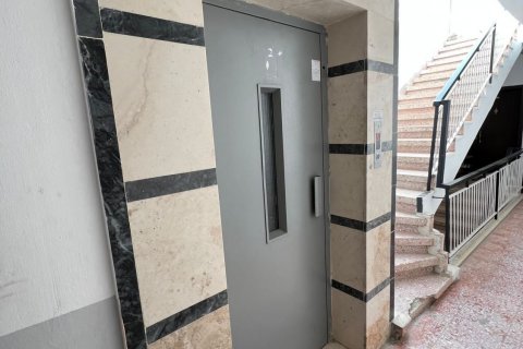 2+1 Wohnung  in Alanya, Antalya, Türkei Nr. 102846 - 4