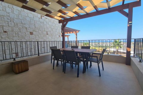   i Kusadasi, Aydin, Tyrkiet Nr. 232422 - 5