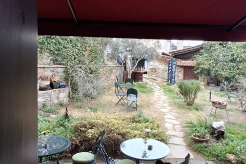 Retail store for sale  in Selcuk, Izmir, Turkey, 125m2, No. 223235 – photo 12