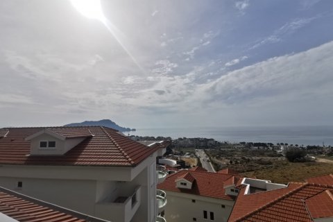 3+1 Penthäuser  in Alanya, Antalya, Türkei Nr. 92111 - 5