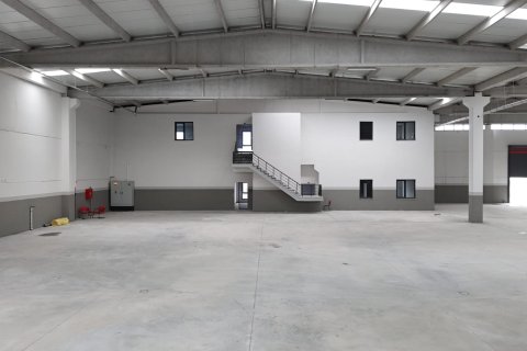 Commercial property for sale in Akhisar, Manisa, Turkey, 2694m2, No. 223276 – photo 22