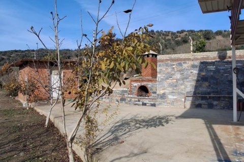 Tom i Selcuk, Izmir, Tyrkiet Nr. 223234 - 23