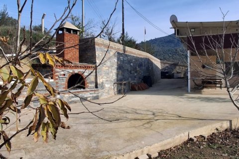 Tom i Selcuk, Izmir, Tyrkiet Nr. 223234 - 24