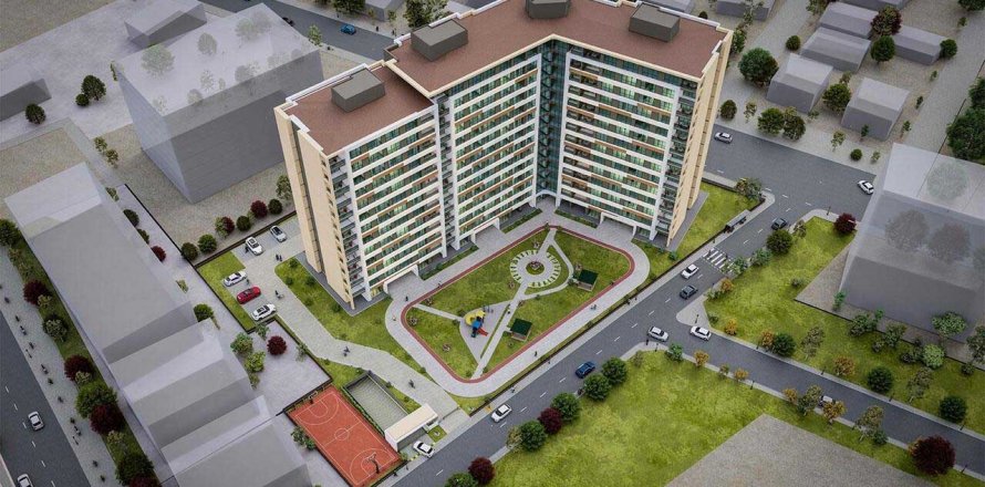Arma Nova Konya, Türkiye №139818