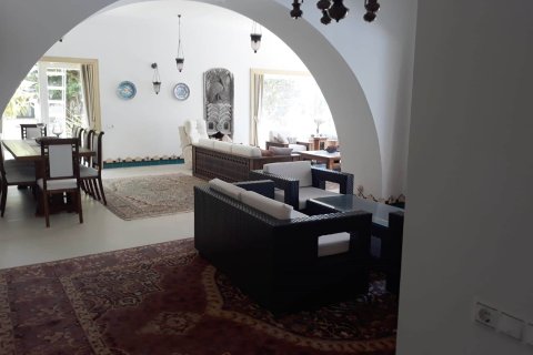 8+1 Villa i Turkbuku, Mugla, Tyrkiet Nr. 214898 - 9