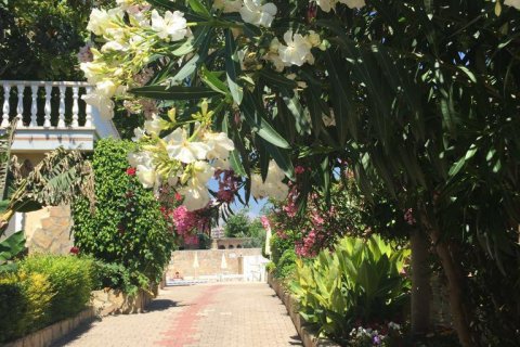 4+1 Villa  i Kestel, Antalya, Tyrkiet Nr. 136230 - 21
