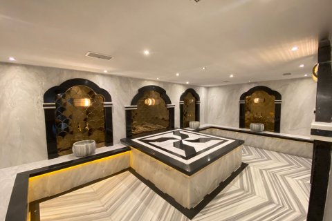 1+1 Leilighet i Alanya, Antalya, Tyrkia Nr. 216408 - 14