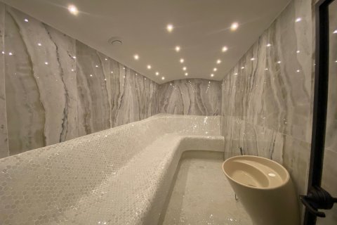 1+1 Leilighet i Alanya, Antalya, Tyrkia Nr. 216408 - 16