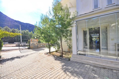 4+2 Villa i Fethiye, Mugla, Tyrkia Nr. 224808 - 3
