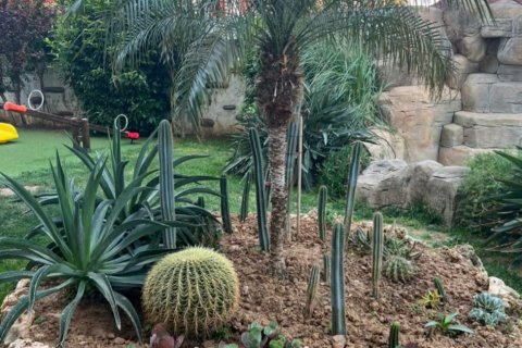 Daire 2+1 Mahmutlar, Antalya, Türkiye №96182 - 9