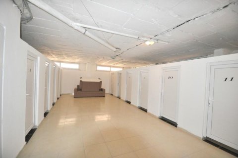 Dubleks daire 3+1 Kestel, Antalya, Türkiye №96705 - 26