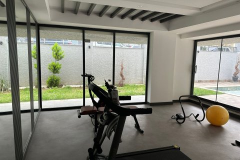 1+1 Wohnung in Alanya, Antalya, Türkei Nr. 214784 - 2