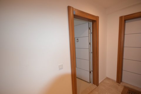 1+1 Leilighet  i Alanya, Antalya, Tyrkia Nr. 102531 - 7