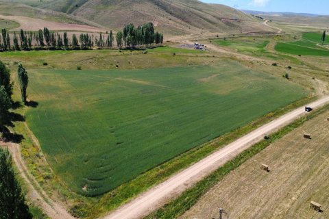 Land plot for sale in Bayburt, Turkey, studio, No. 228571 – photo 5