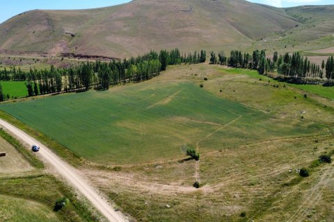 Land plot for sale in Bayburt, Turkey, studio, No. 228571 – photo 3