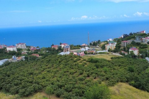 10+2 Villa i Trabzon, Tyrkiet Nr. 228880 - 3