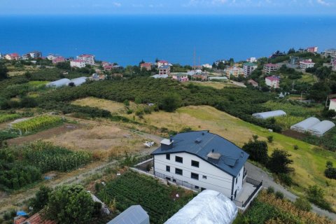 10+2 Villa i Trabzon, Tyrkiet Nr. 228880 - 4
