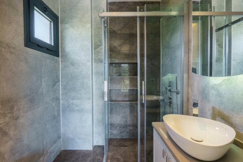 5+1 Villa i Seferihisar, Izmir, Tyrkia Nr. 219952 - 20