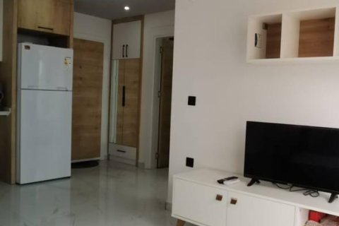 Daire 1+1 Alanya, Antalya, Türkiye №224807 - 19
