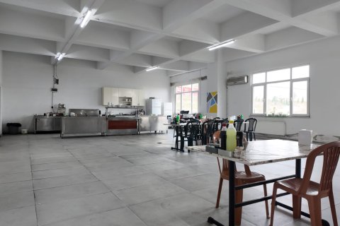 Ticari gayrimenkul   Balıkesir, Türkiye №223251 - 14