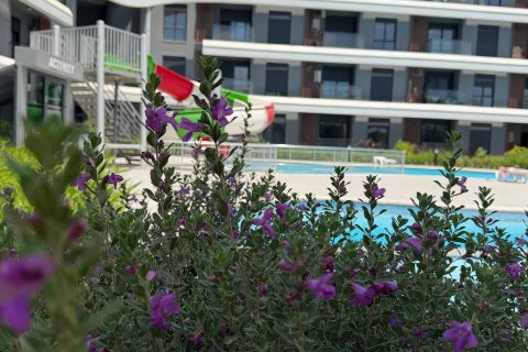 Daire  1+1  Altıntaş, Antalya, Türkiye №226996 - 2