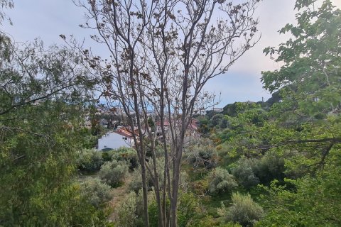 2+1 Wohnung  in Kusadasi, Aydin, Türkei Nr. 102736 - 23