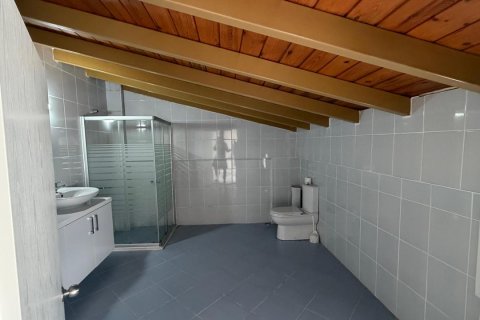   i Kusadasi, Aydin, Tyrkia Nr. 226682 - 5