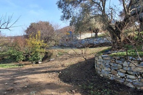 Tom i Selcuk, Izmir, Tyrkiet Nr. 223234 - 13