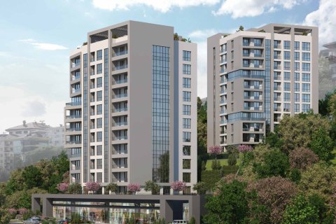 1+1 Wohnung in Besiktas, Istanbul, Türkei Nr. 221129 - 2