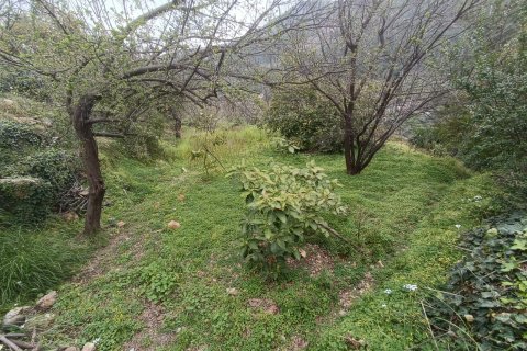 Tom i Oba, Antalya, Tyrkiet Nr. 96732 - 8