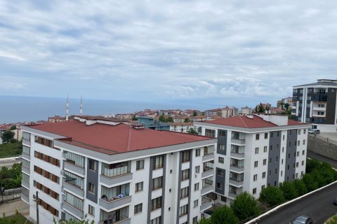 آپارتمان در Trabzon ، ترکیه 3 خوابه ، 85 متر مربع. شماره 228511 - 14