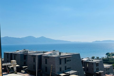  در  Kusadasi ، ترکیه 220 متر مربع.  شماره 228659 - 22