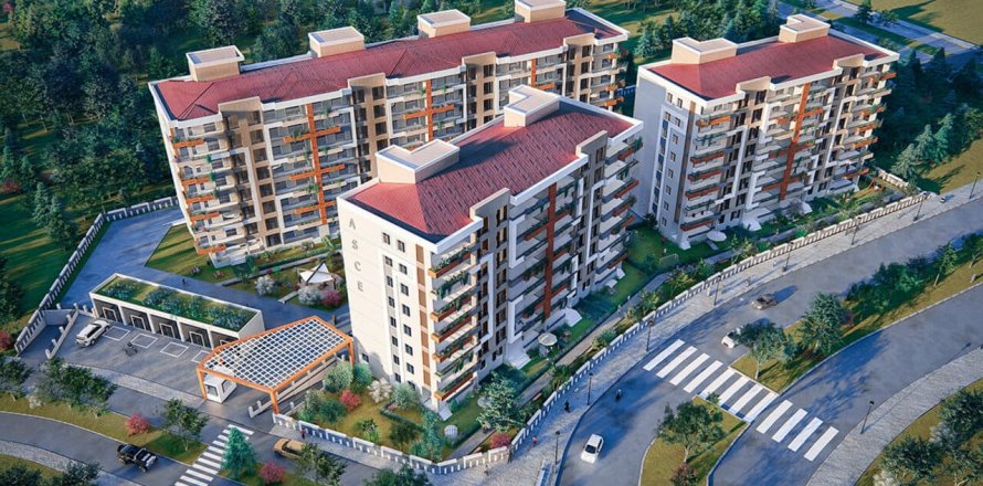 Asce Ortakoy i Gaziantep, Tyrkiet Nr.134234