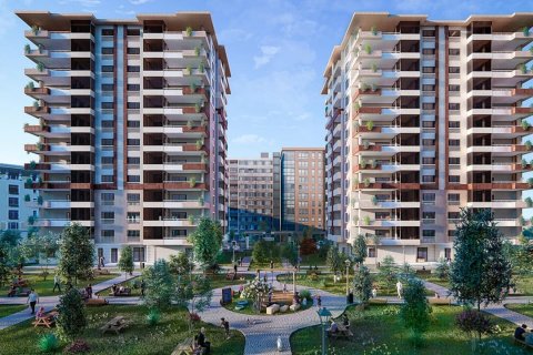 Asce Sariyer  in Gaziantep, Türkei Nr.134233