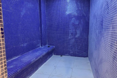 3+1 Penthouse  i Alanya, Antalya, Tyrkiet Nr. 223142 - 20
