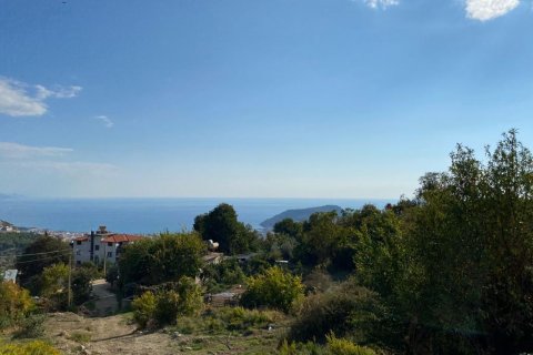 Land in Tepe, Alanya, Antalya, Türkei Nr. 96200 - 4
