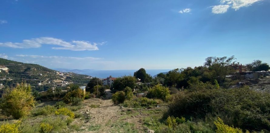 Land in Tepe, Alanya, Antalya, Türkei Nr. 96200