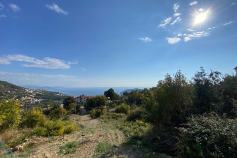 Land in Tepe, Alanya, Antalya, Türkei Nr. 96200 - 2