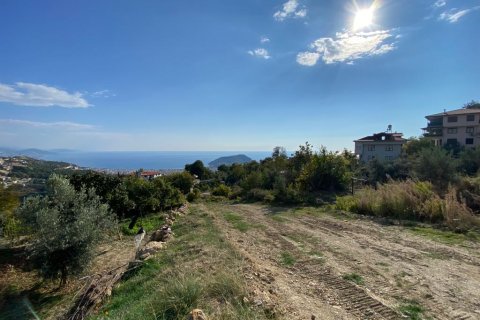 Land in Tepe, Alanya, Antalya, Türkei Nr. 96200 - 3