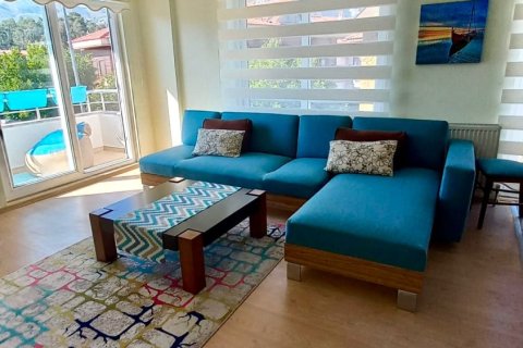 Erhvervsejendom i Fethiye, Mugla, Tyrkiet Nr. 225767 - 12