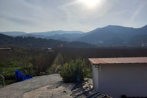 Tom i Selcuk, Izmir, Tyrkiet Nr. 223234 - 10