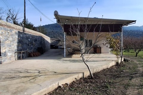 Tom i Selcuk, Izmir, Tyrkiet Nr. 223234 - 8