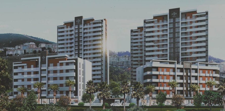 Ells Kartal Kartal, İstanbul, Türkiye №102483