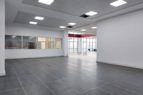 Erhvervsejendom  i Turgutlu, Manisa, Tyrkiet Nr. 223250 - 20