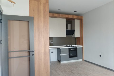 2+1 Lägenhet i Allure, Altintash, Antalya, Turkiet Nr. 226257 - 9
