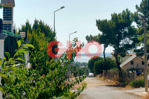 3+1 Villa  i Akbuk, Aydin, Turkiet Nr. 139070 - 15
